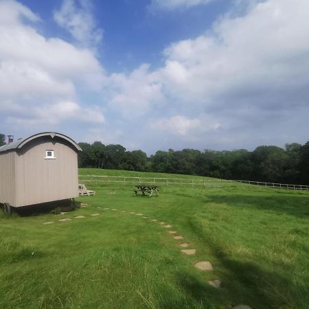 Molly Dishwasher Shepherds Hut Frant Buitenkant foto