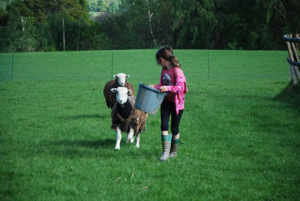 Molly Dishwasher Shepherds Hut Frant Buitenkant foto