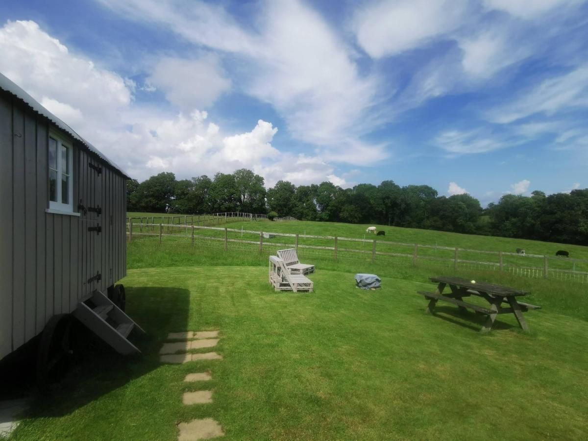 Molly Dishwasher Shepherds Hut Frant Buitenkant foto